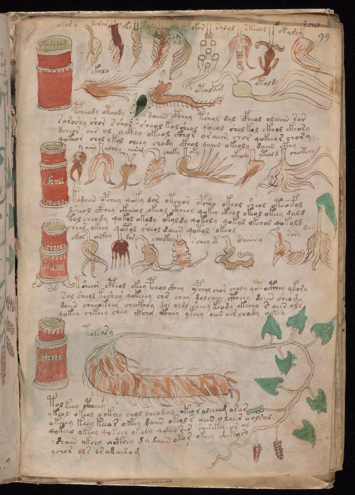 Marine Specimen Recipe